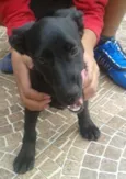 Teka