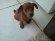 tika