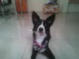 Mafalda