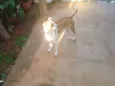 Kika