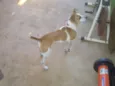 Kika