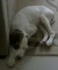 Julie