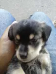 Sem Nome Definido