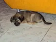 sem nome
