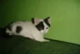 Florzinha e Fofinha