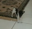 Tobby