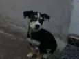 Kit