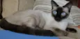 Clara