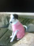 Julie