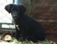 não tem