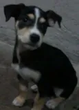 Kit