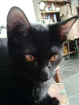 Sirius