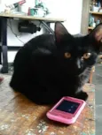 Sirius