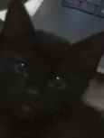 Sirius