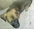 Tito
