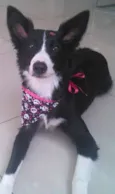 Mafalda