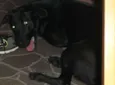 Nina