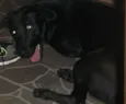 Nina