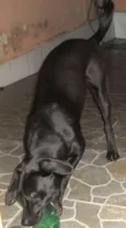 Nina