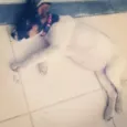 -