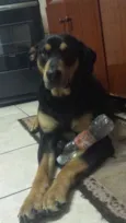Sirius