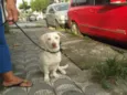 ANITA