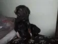 BEBES SÃO VICENTE