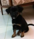 Lucy