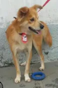 Kio