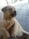 Sem Nome Definido