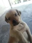Sem Nome Definido