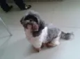 Billy
