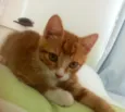 Zacarias