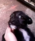 Mais de 1