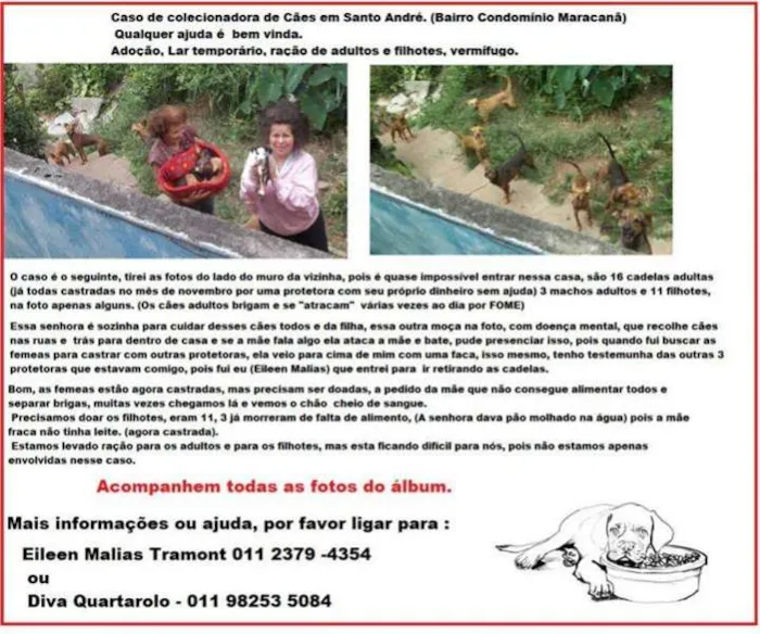 Cachorro ra a SRD idade 2 a 6 meses nome SANTO ANDRÉ