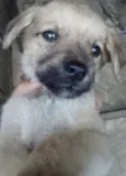 Nick