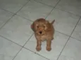 Fiona