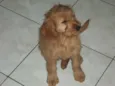 Fiona