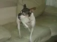TOBBY