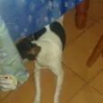 TOBBY