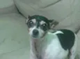 TOBBY