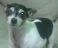 TOBBY