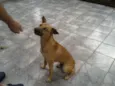 Bob