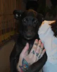 Meia noite