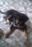 Dondoca