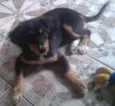 Dondoca