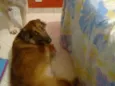 Nina