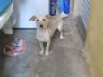 Lili