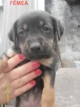 Ainda sem nome