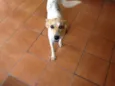 Menina